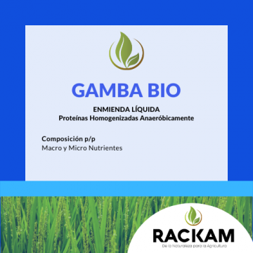 gallery/copy of copy of copy of copy of 1,286 (1)