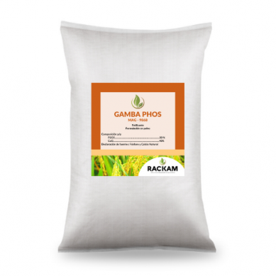 gallery/untitled design