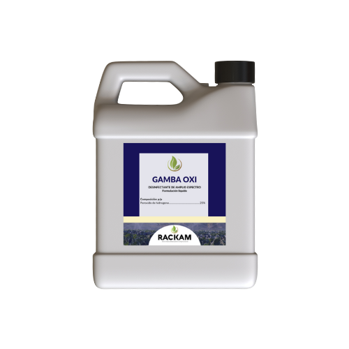 gallery/untitled design (1)