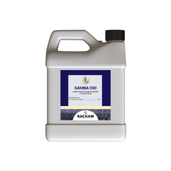 gallery/untitled design (1)