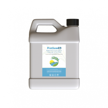 gallery/untitled design